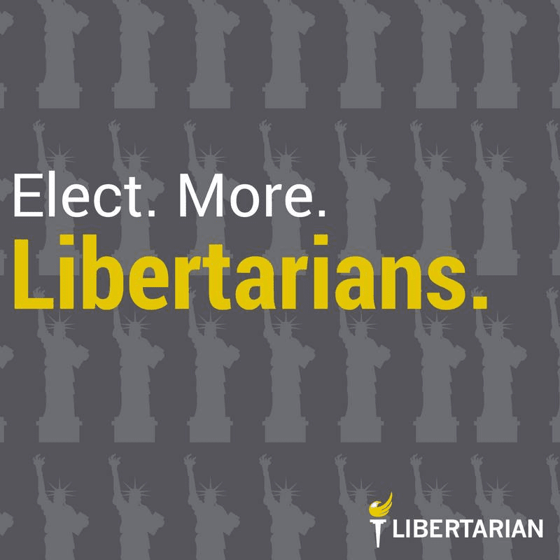 Elect. More. Libertarians.