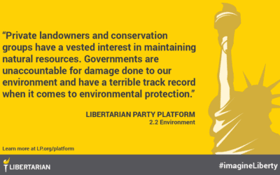 Market forces are better than feds at fighting fires