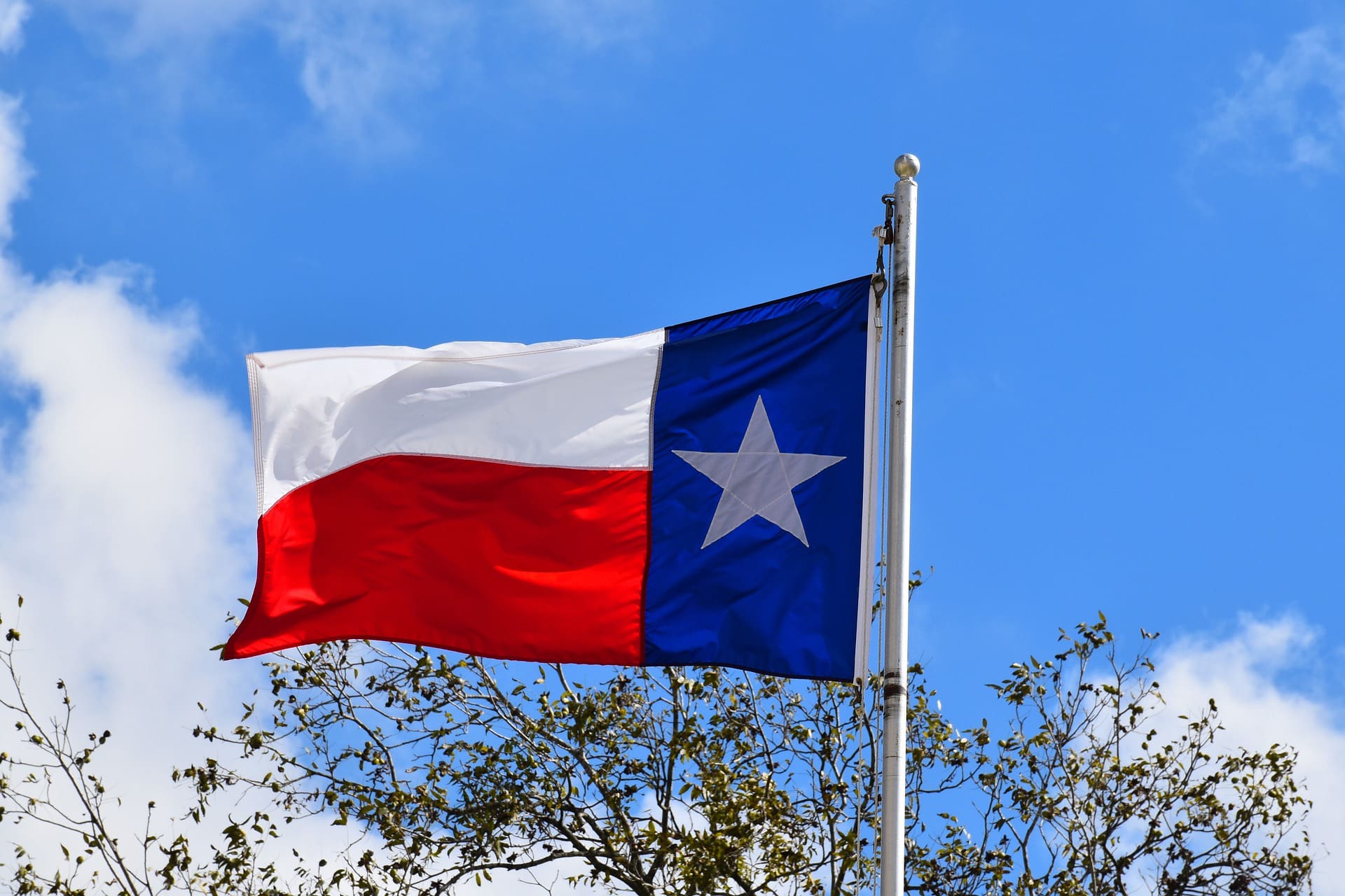 ‘First they came for the Greens’: Duopoly attacks Texas Libertarians