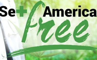 Ballot Initiatives on Cannabis Submitted to Secretary of State