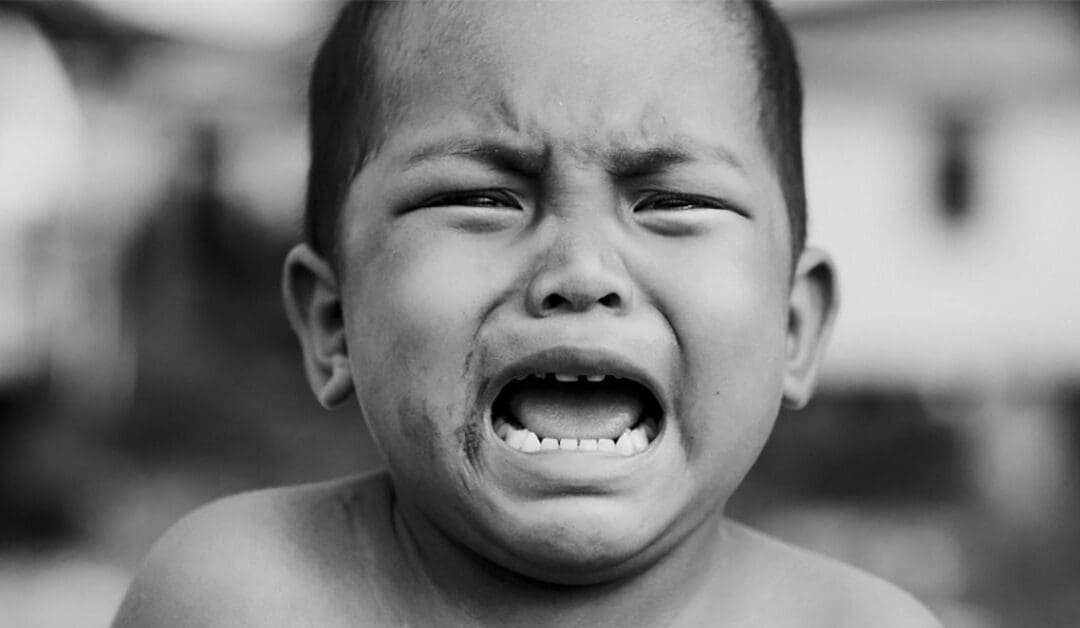 Has Biden Fixed Immigration?